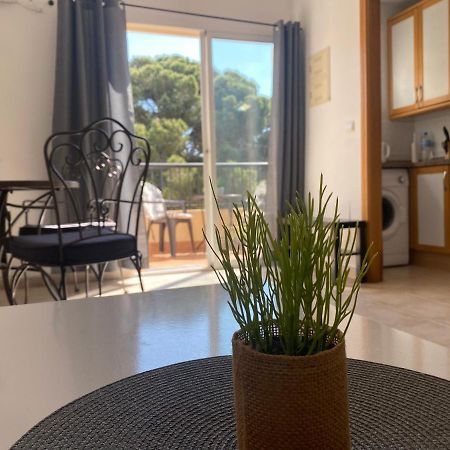 Casa De La Duna Costa Blanca لا ماتا المظهر الخارجي الصورة