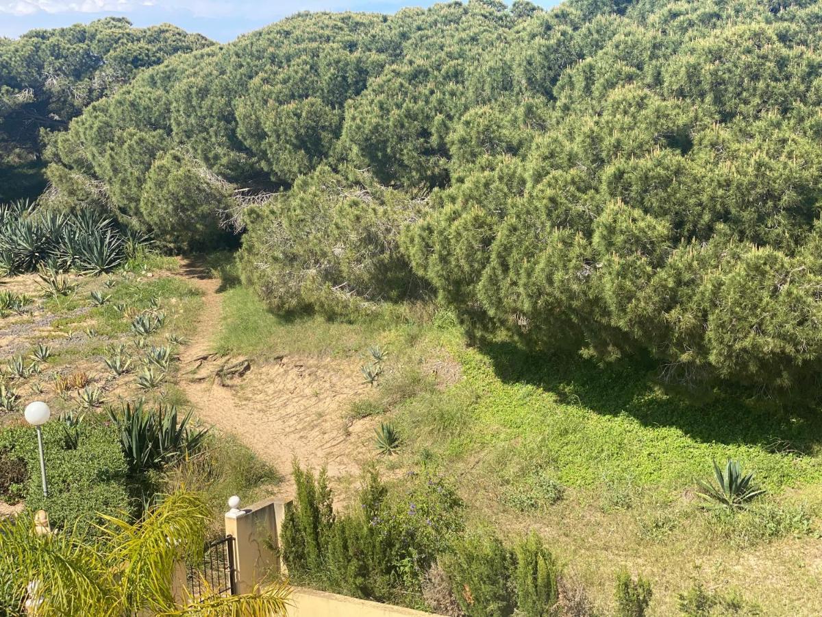 Casa De La Duna Costa Blanca لا ماتا المظهر الخارجي الصورة