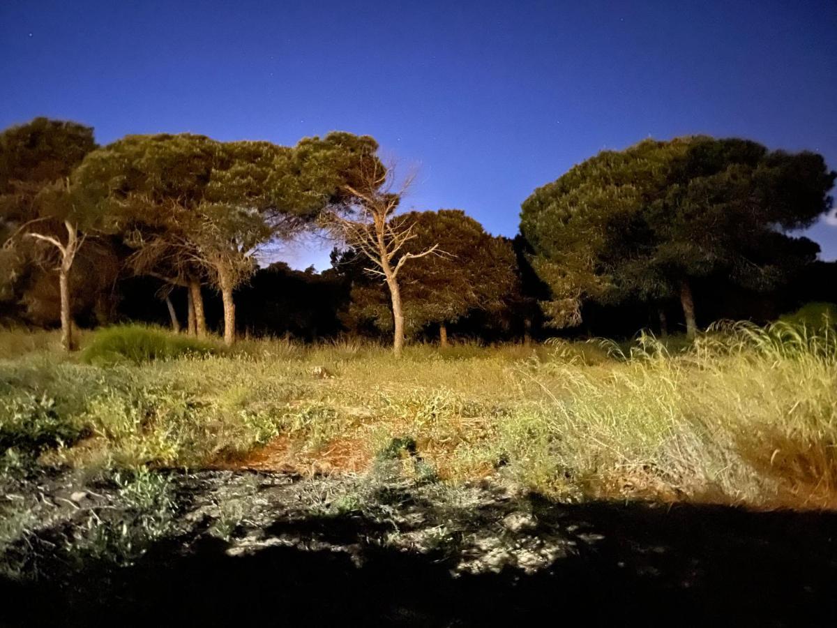 Casa De La Duna Costa Blanca لا ماتا المظهر الخارجي الصورة