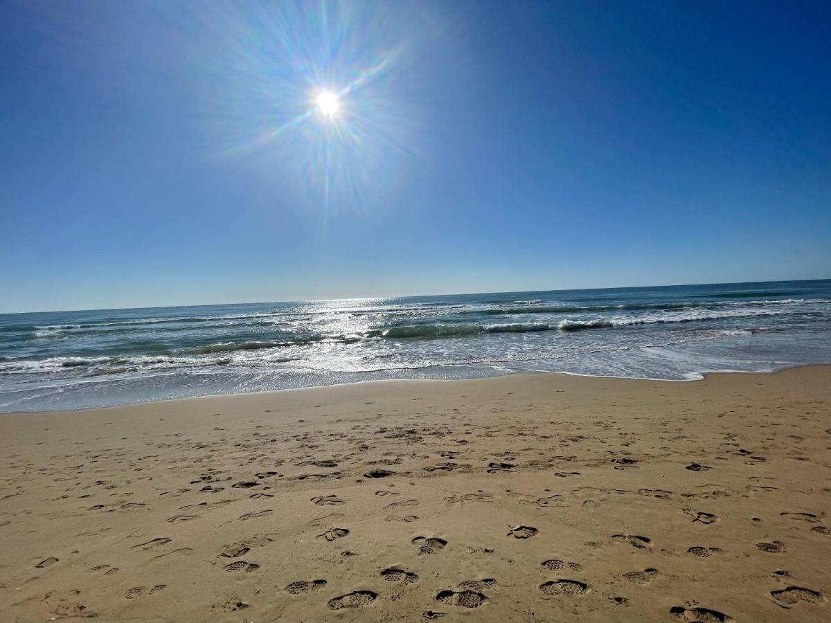 Casa De La Duna Costa Blanca لا ماتا المظهر الخارجي الصورة